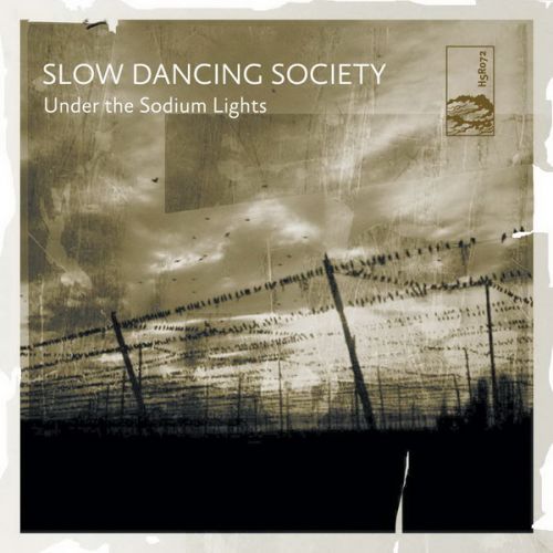 1283173096_slow-dancing-society-under-the-sodium-lights