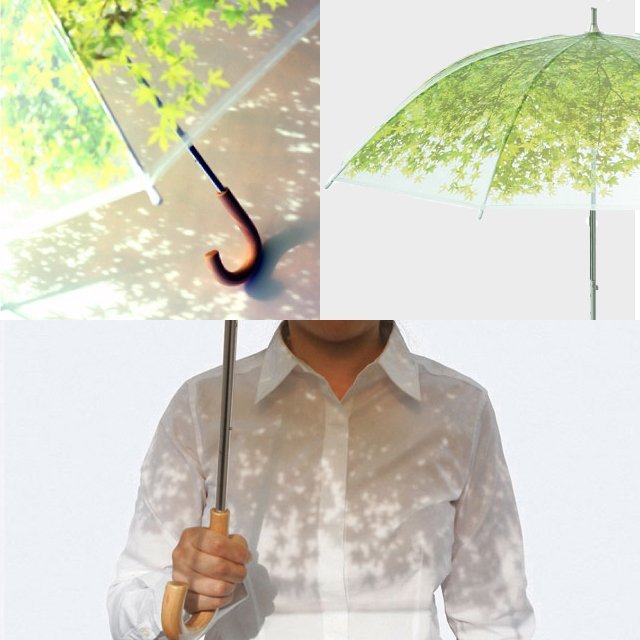 fd8f4f192c054fce9819e6f9f4910b4f